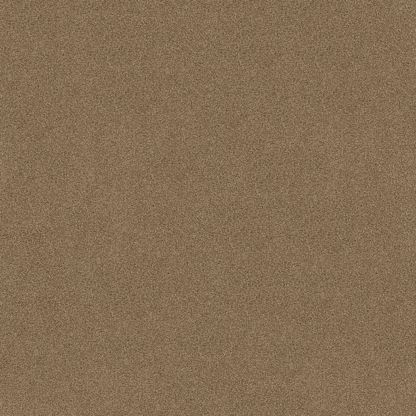 TEXTURE BCF