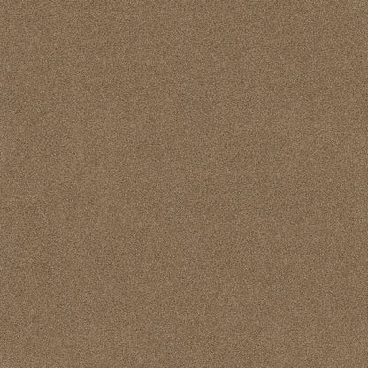 TEXTURE BCF