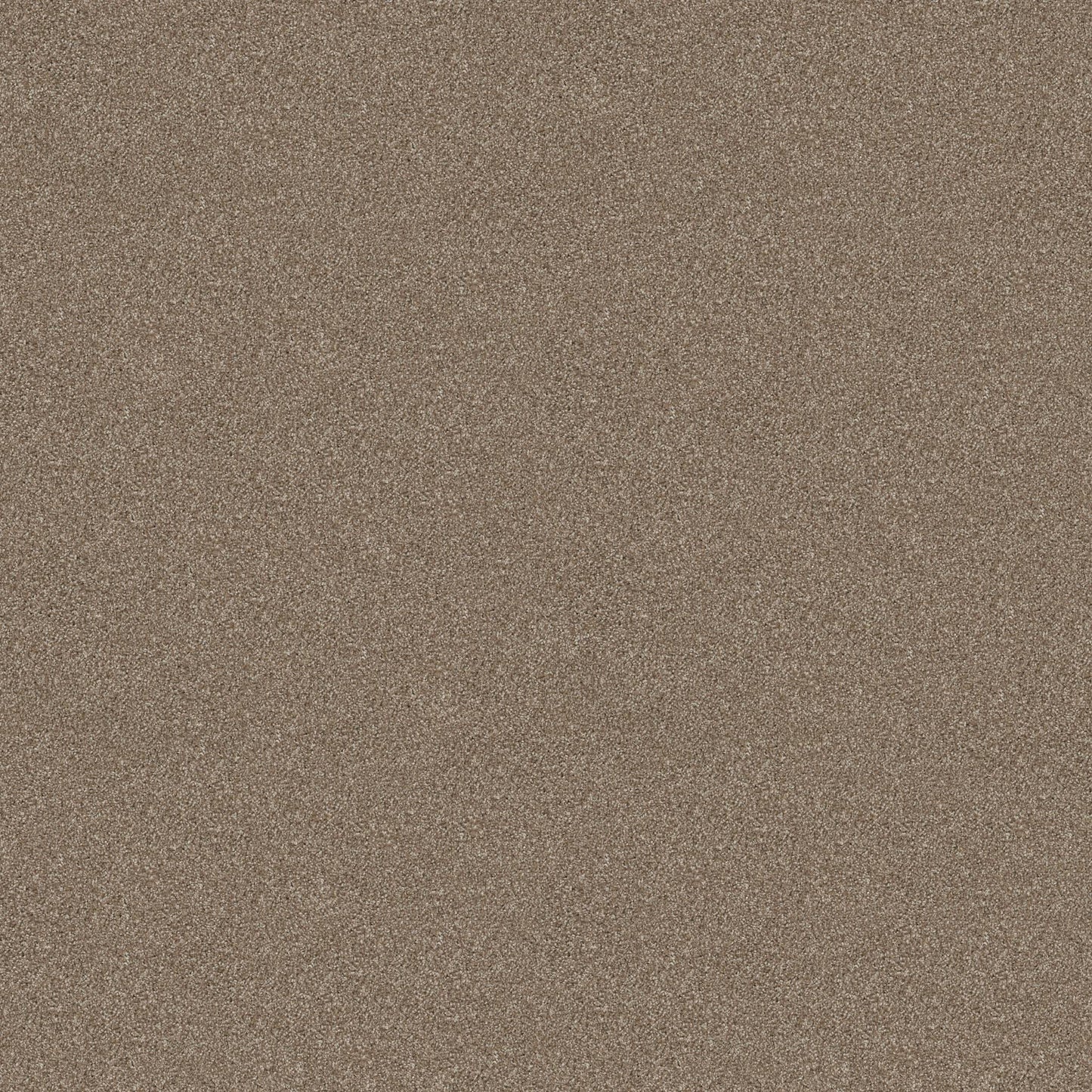 TEXTURE BCF