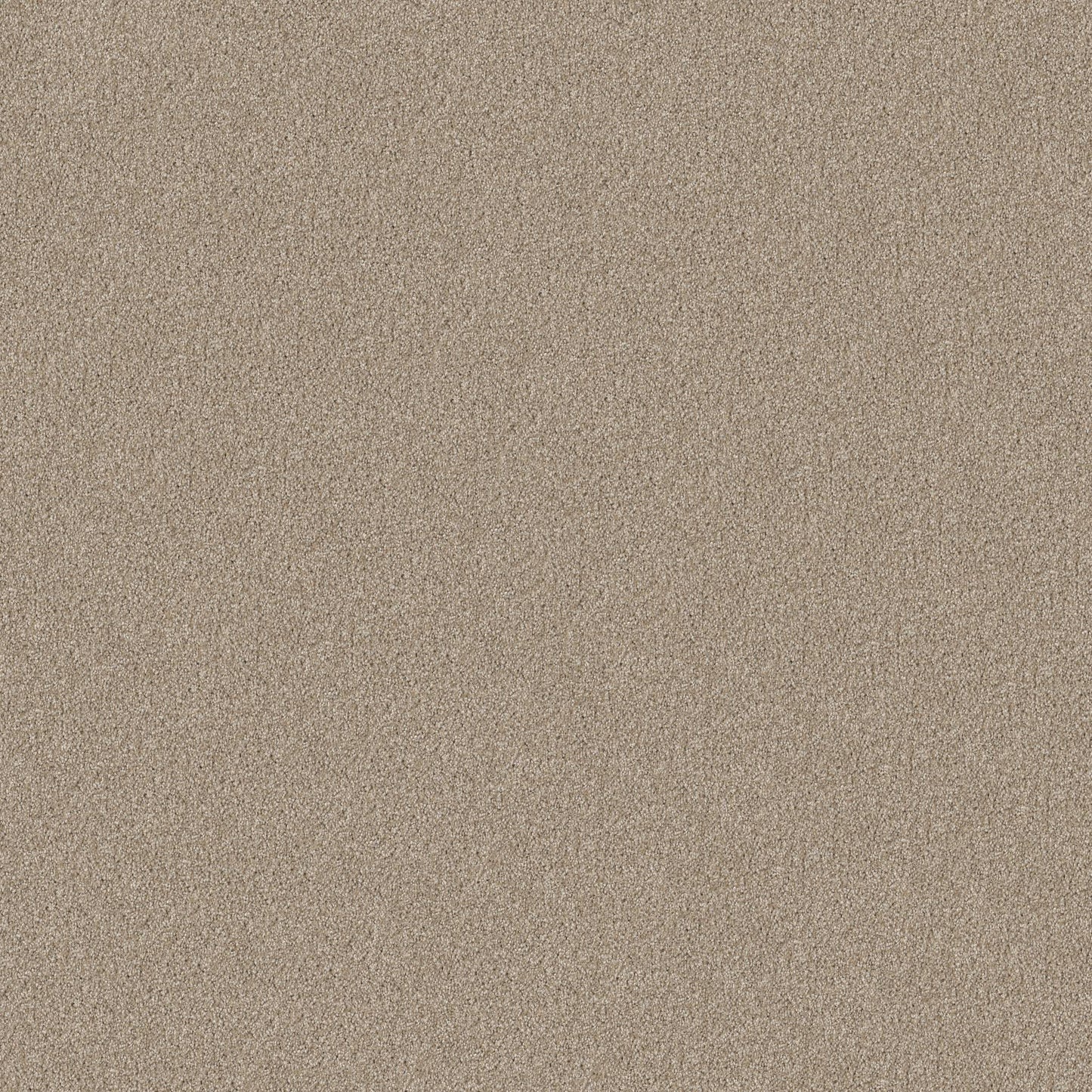 TEXTURE BCF
