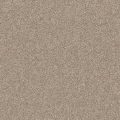 TEXTURE BCF