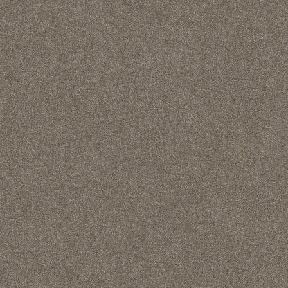 TEXTURE BCF