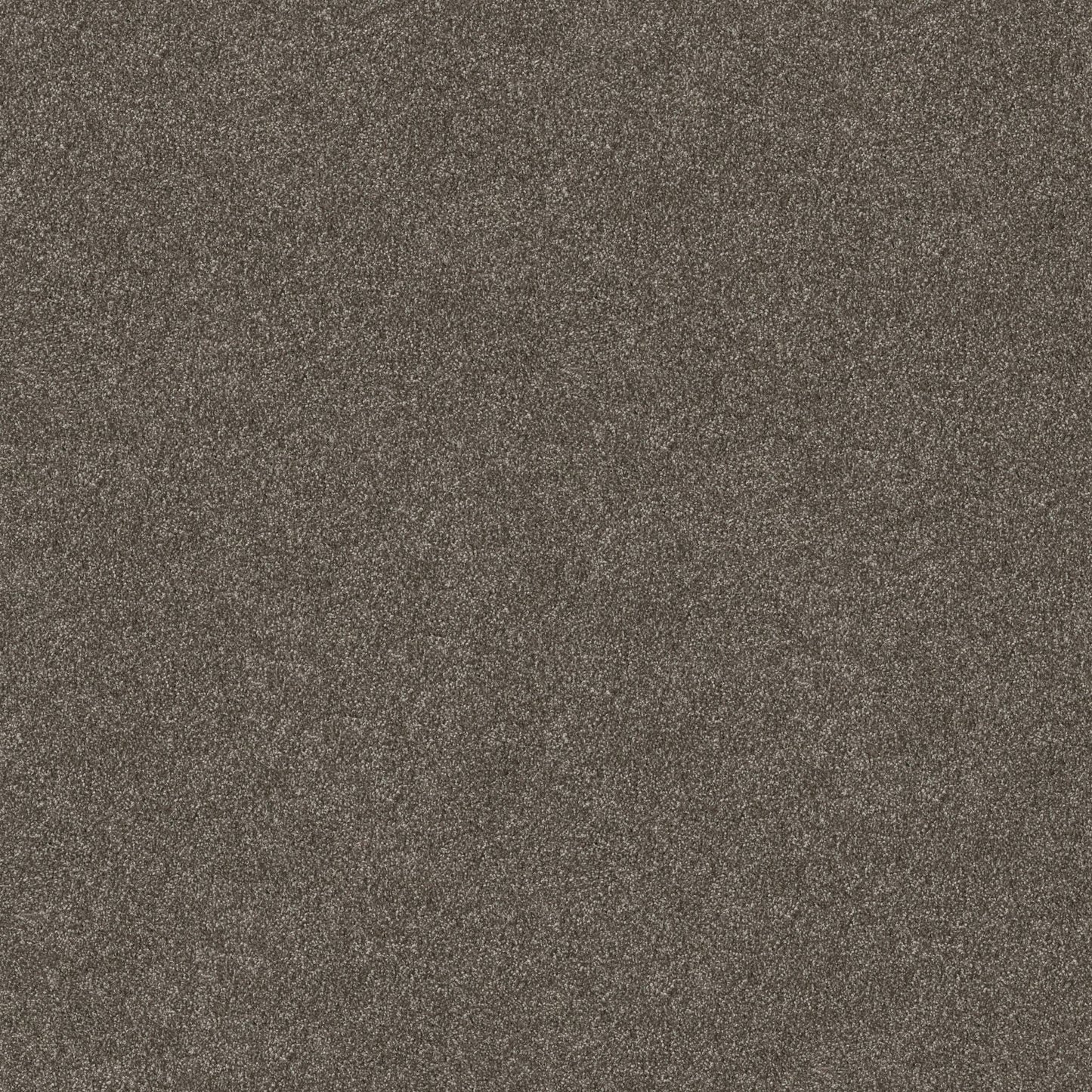TEXTURE BCF