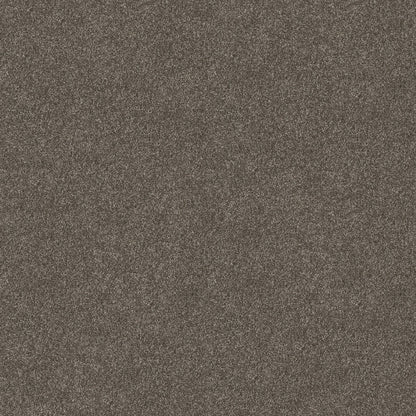 TEXTURE BCF