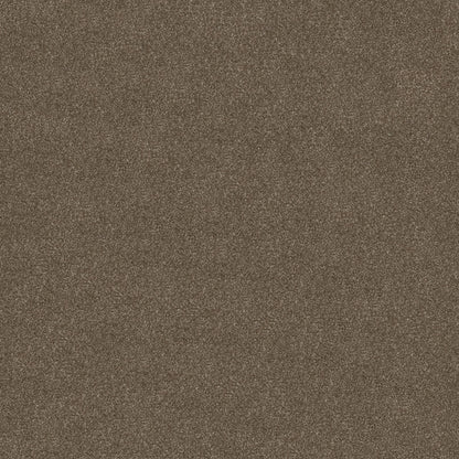 TEXTURE BCF