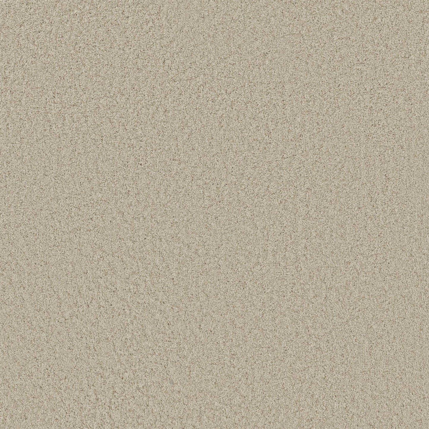 TEXTURE BCF