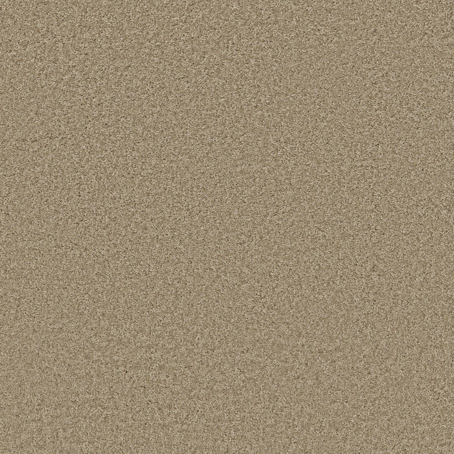 TEXTURE BCF