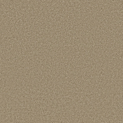 TEXTURE BCF