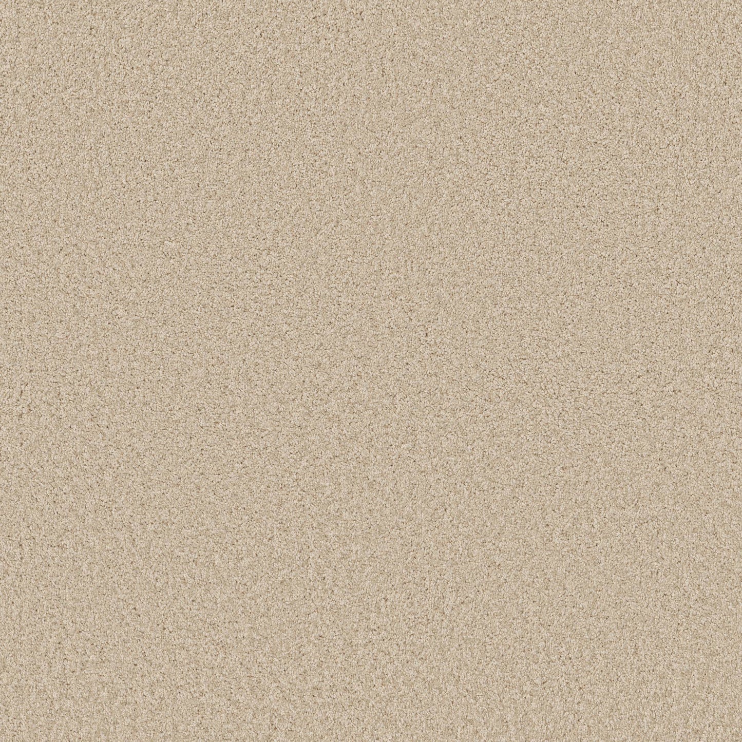 TEXTURE BCF