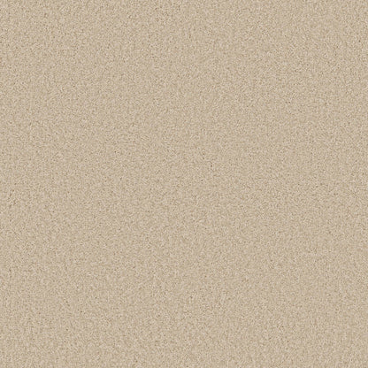TEXTURE BCF