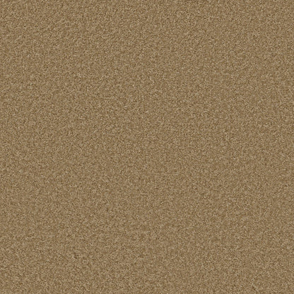 TEXTURE BCF