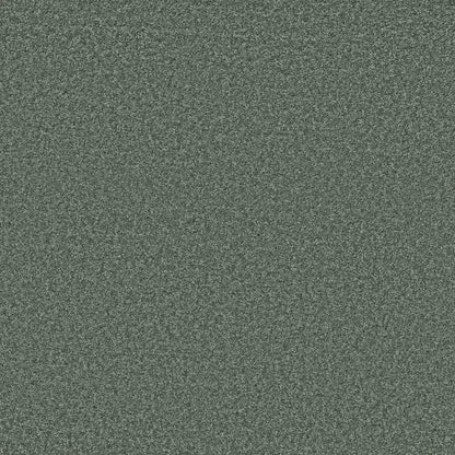 TEXTURE BCF