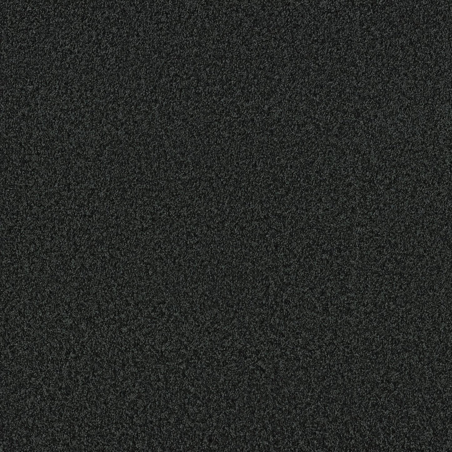 TEXTURE BCF