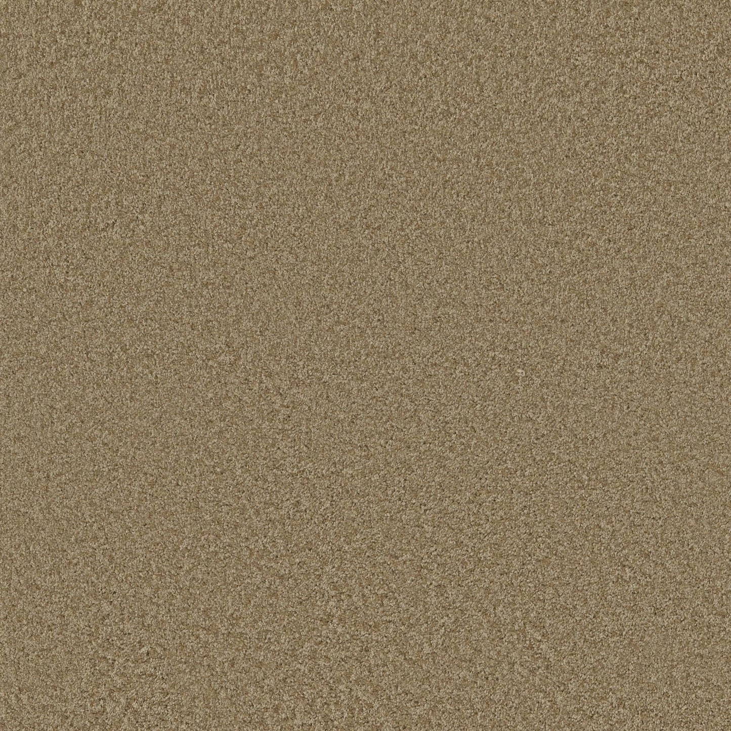 TEXTURE BCF