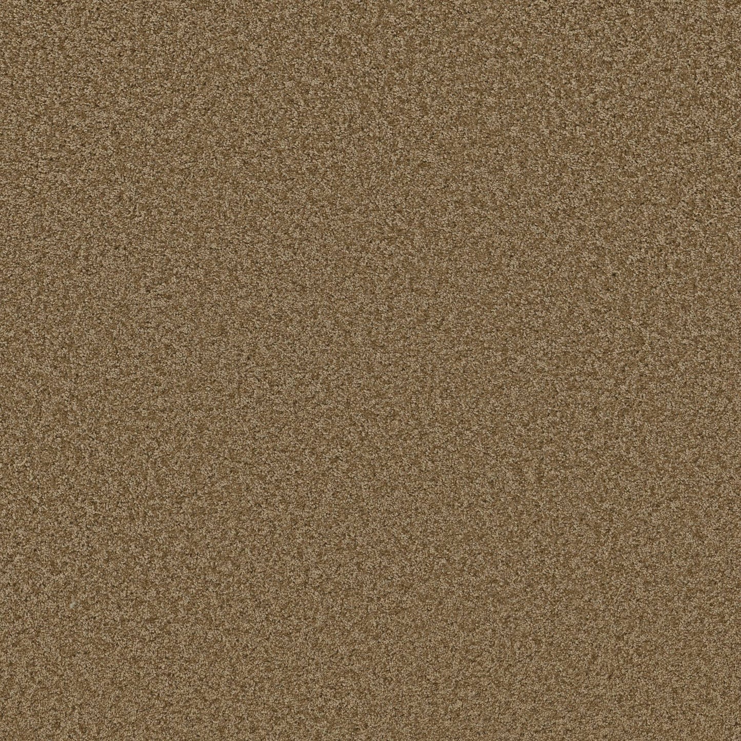 TEXTURE BCF