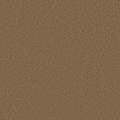 TEXTURE BCF