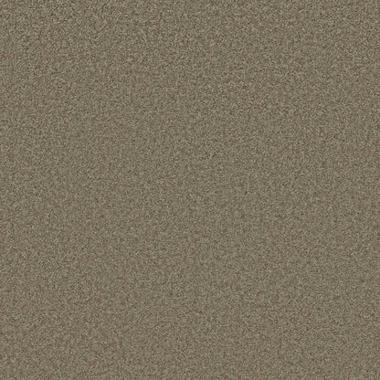 TEXTURE BCF