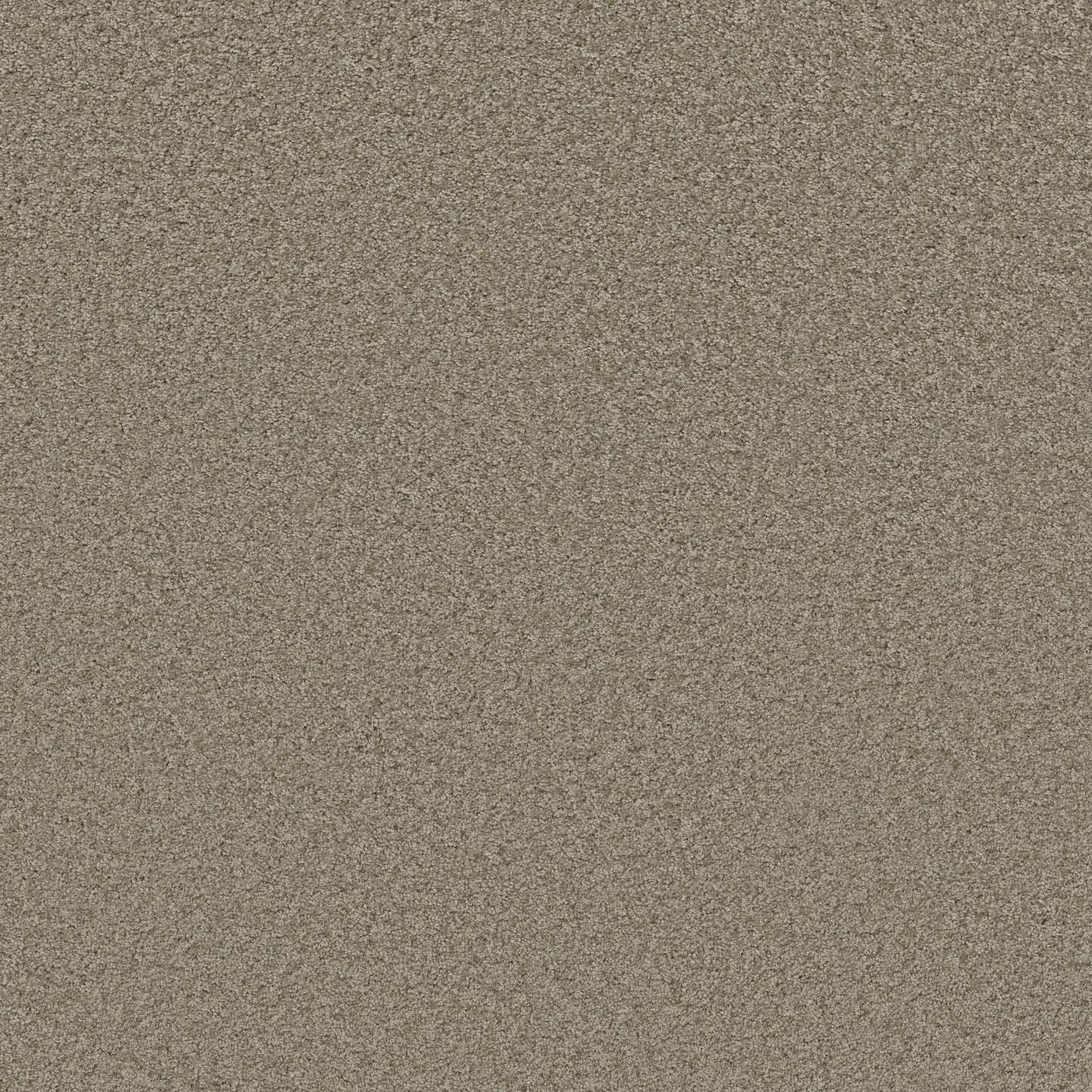 TEXTURE BCF