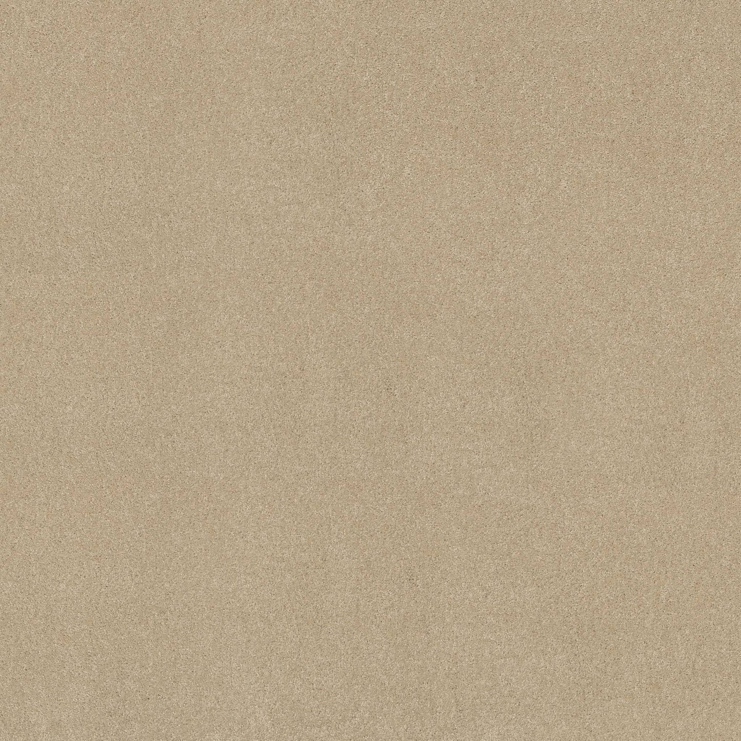 TEXTURE BCF