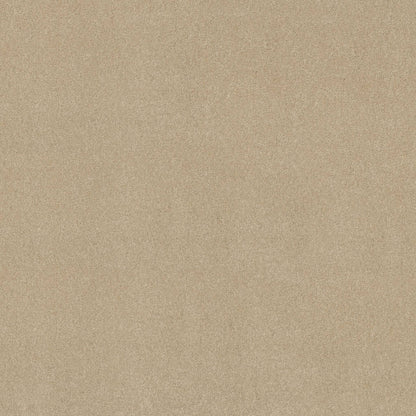 TEXTURE BCF