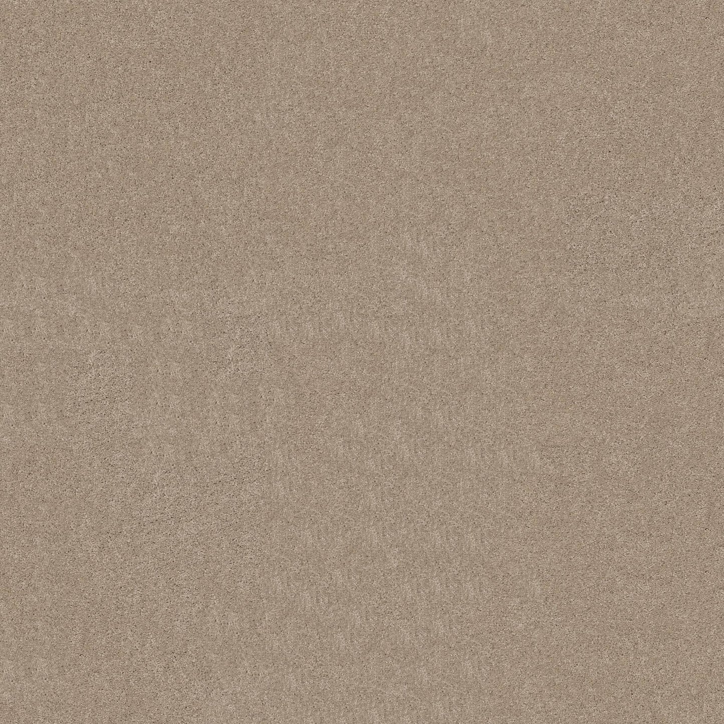 TEXTURE BCF