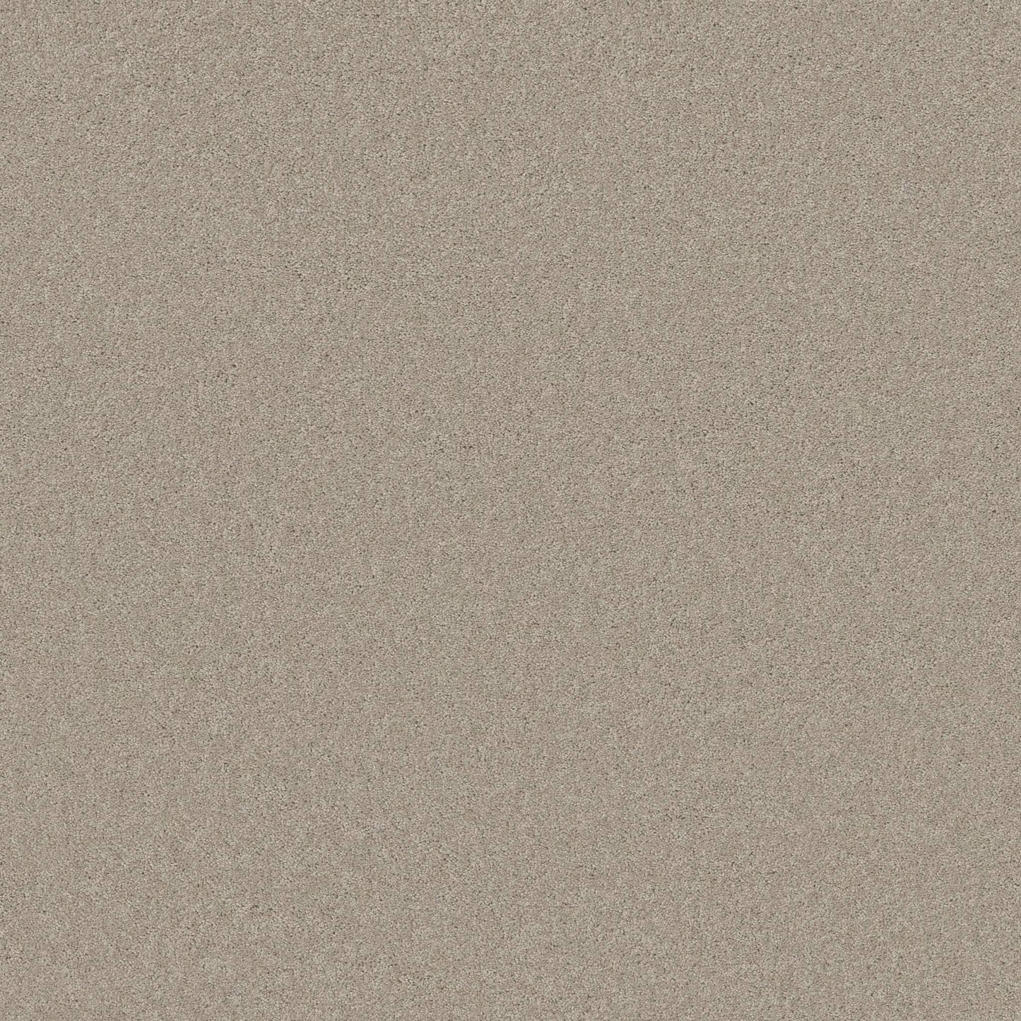 TEXTURE BCF
