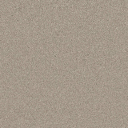 TEXTURE BCF