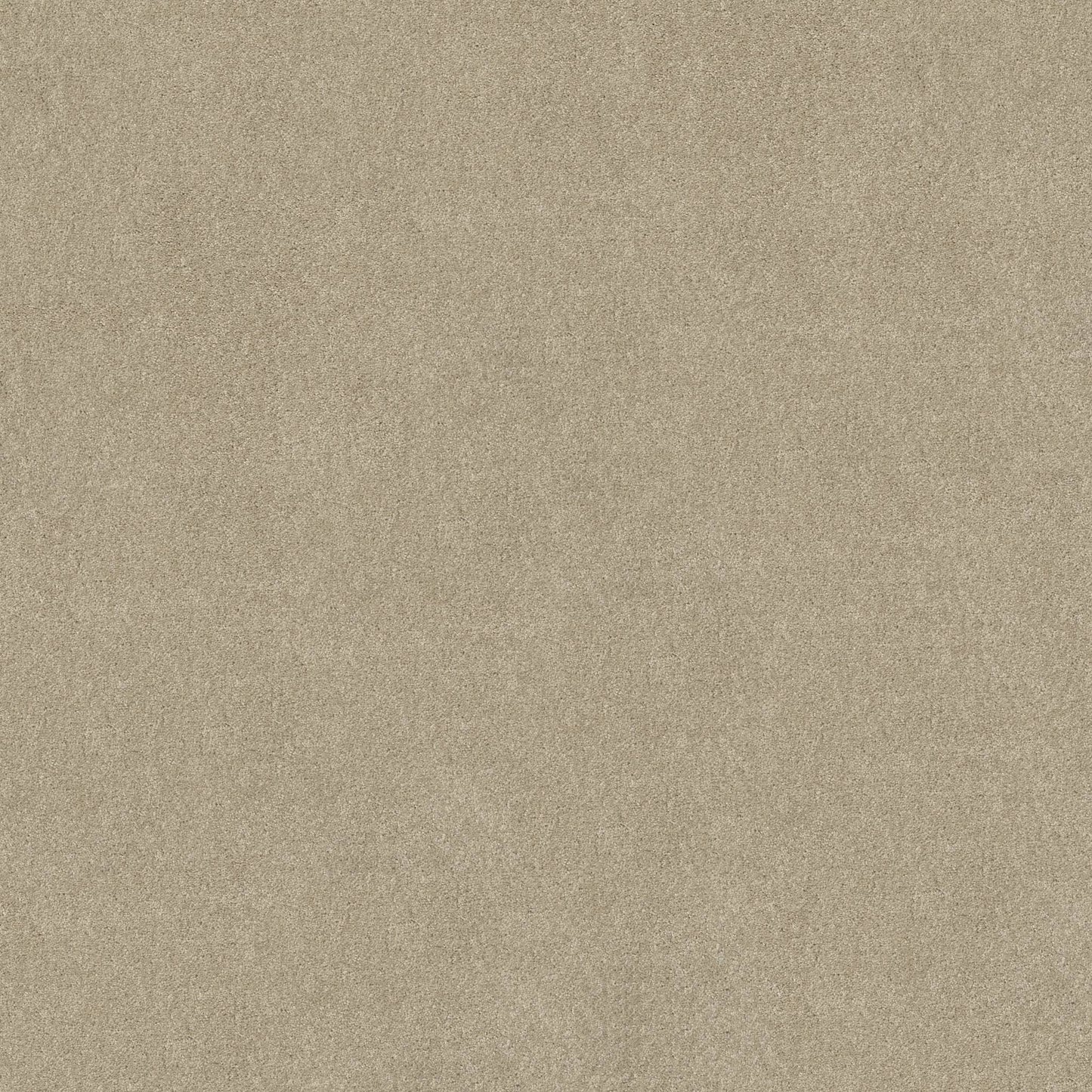 TEXTURE BCF