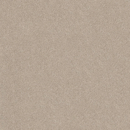 TEXTURE BCF