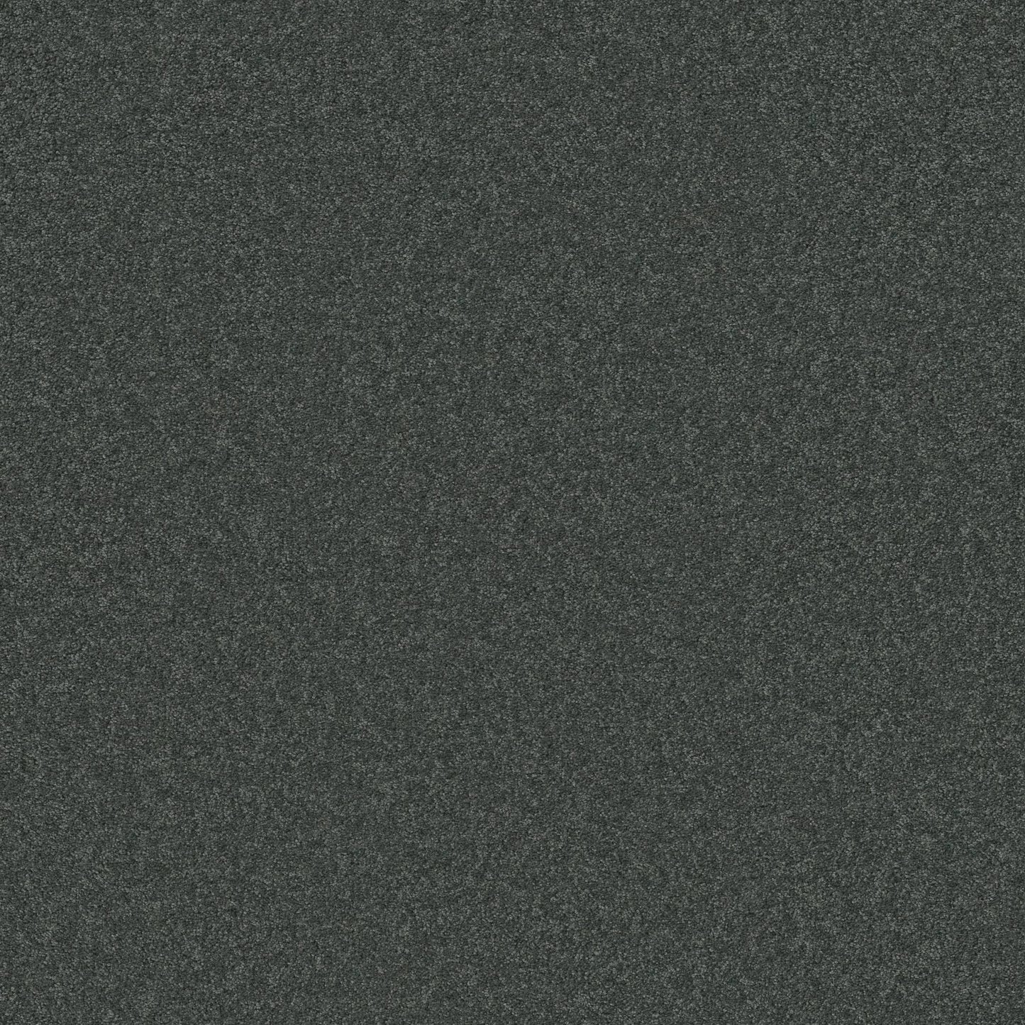 TEXTURE BCF