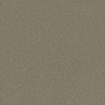 TEXTURE BCF