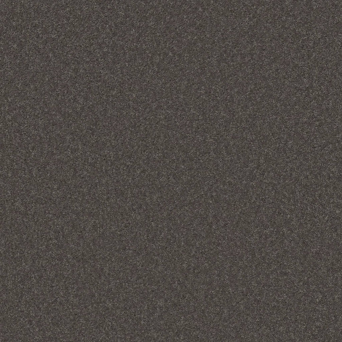 TEXTURE BCF