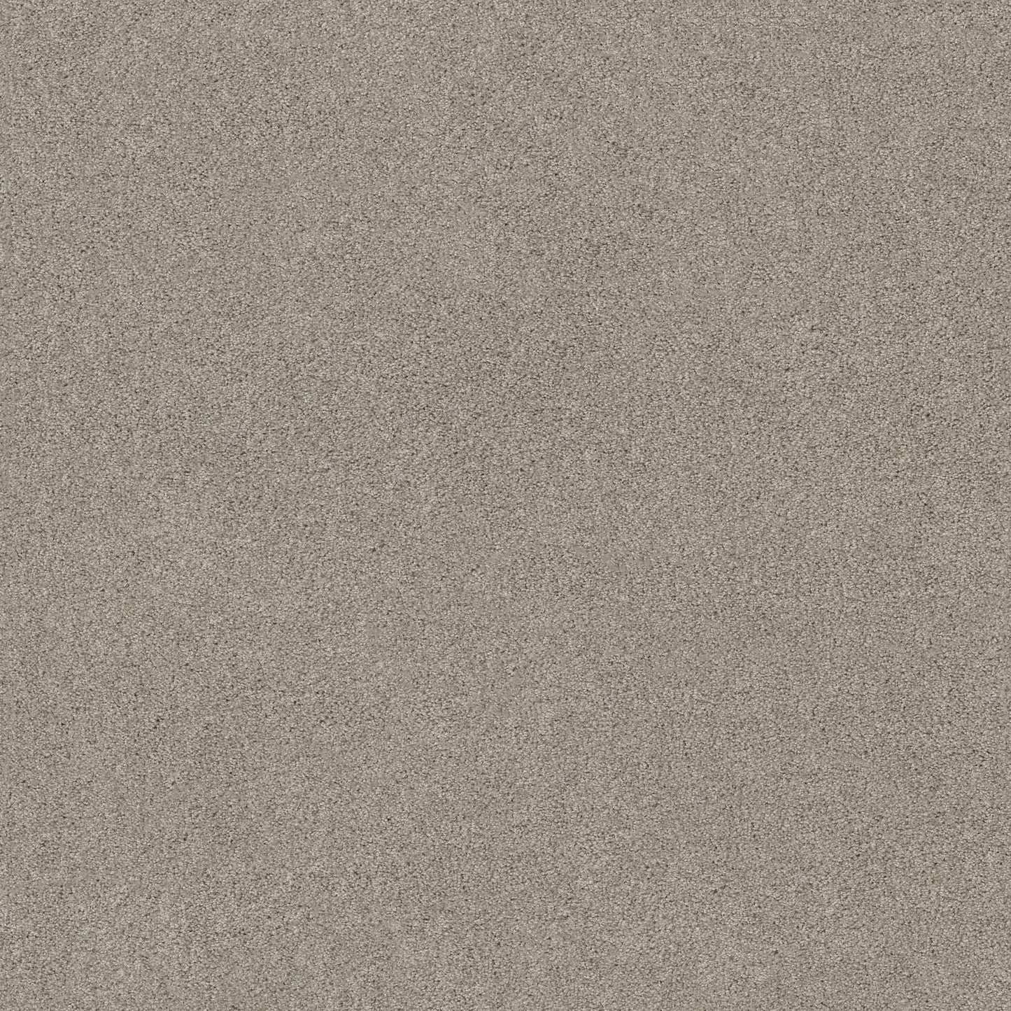 TEXTURE BCF