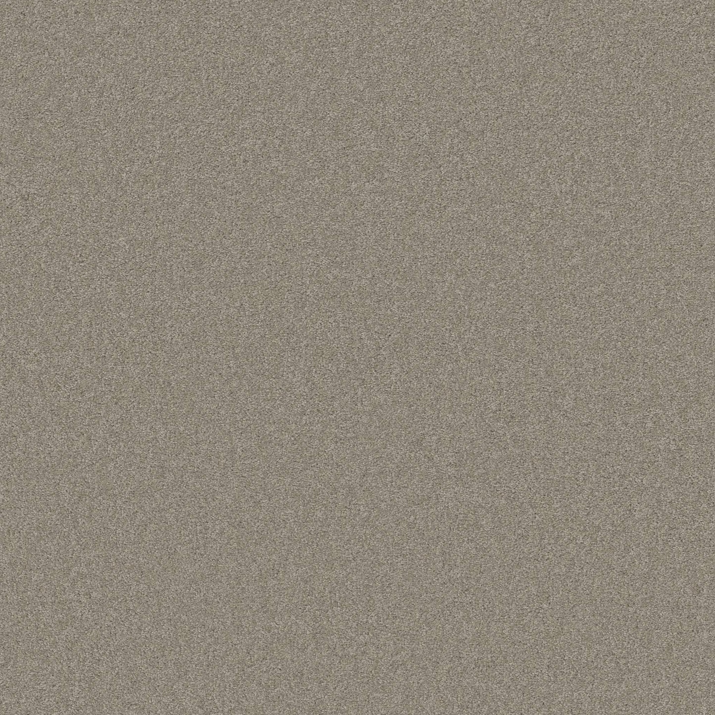 TEXTURE BCF