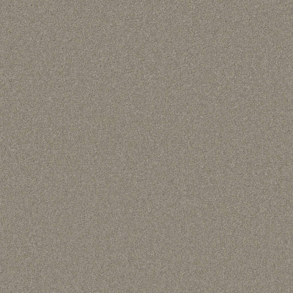 TEXTURE BCF