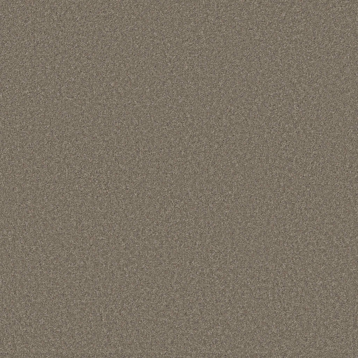TEXTURE BCF