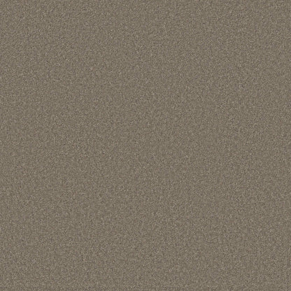 TEXTURE BCF