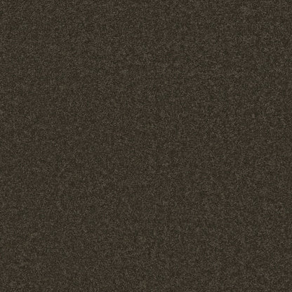 TEXTURE BCF
