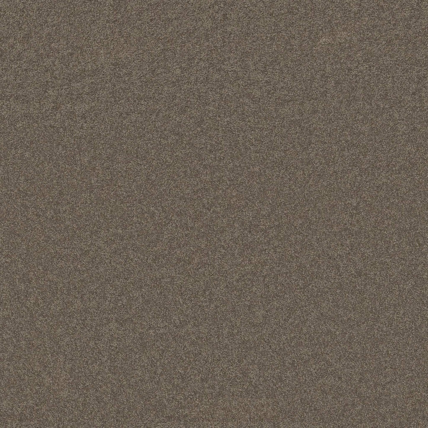 TEXTURE BCF