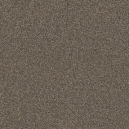 TEXTURE BCF