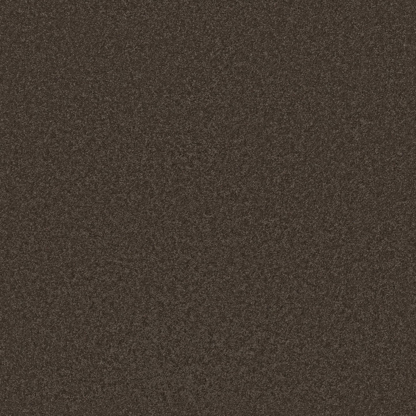 TEXTURE BCF