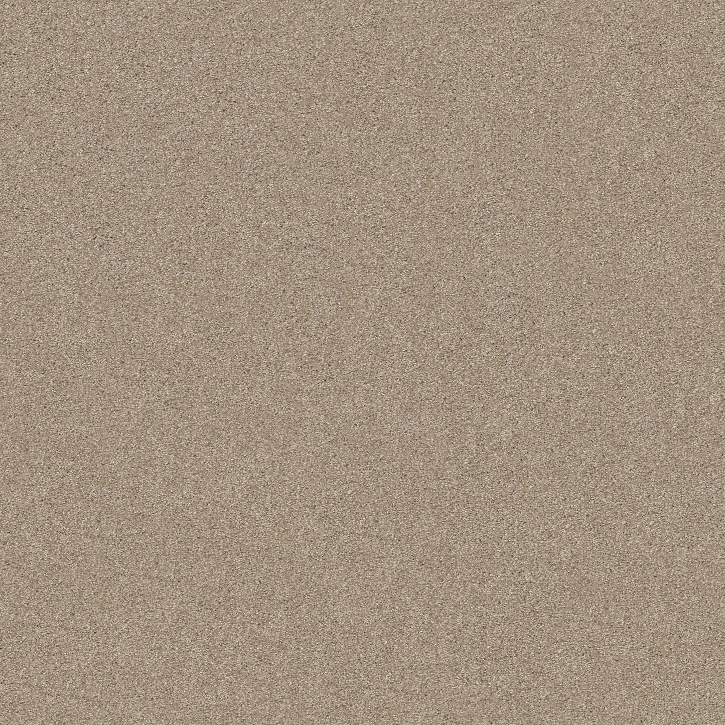 TEXTURE BCF