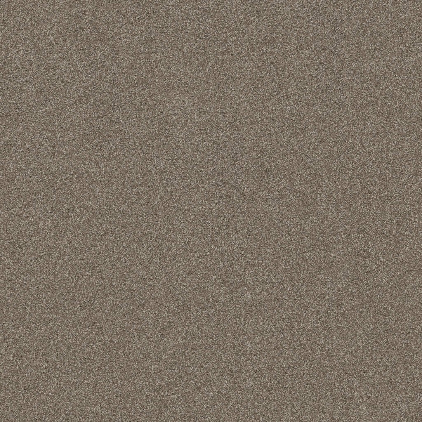 TEXTURE BCF