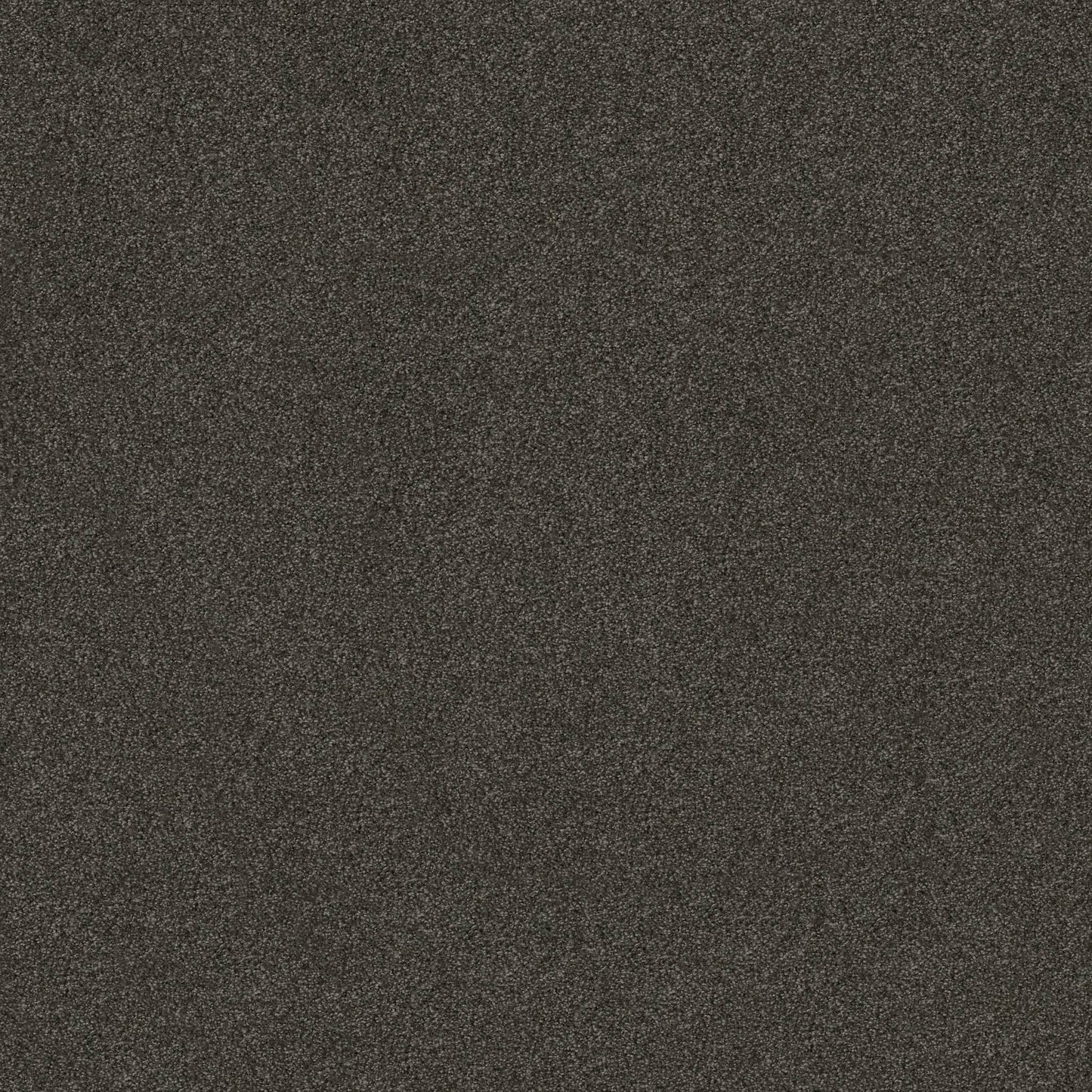 TEXTURE BCF