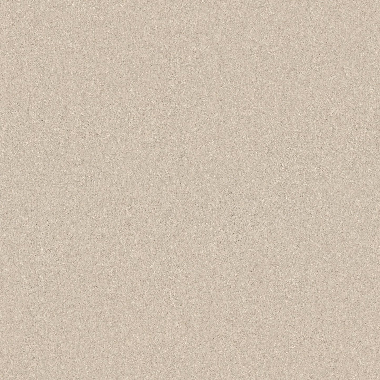 TEXTURE BCF