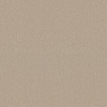 TEXTURE BCF