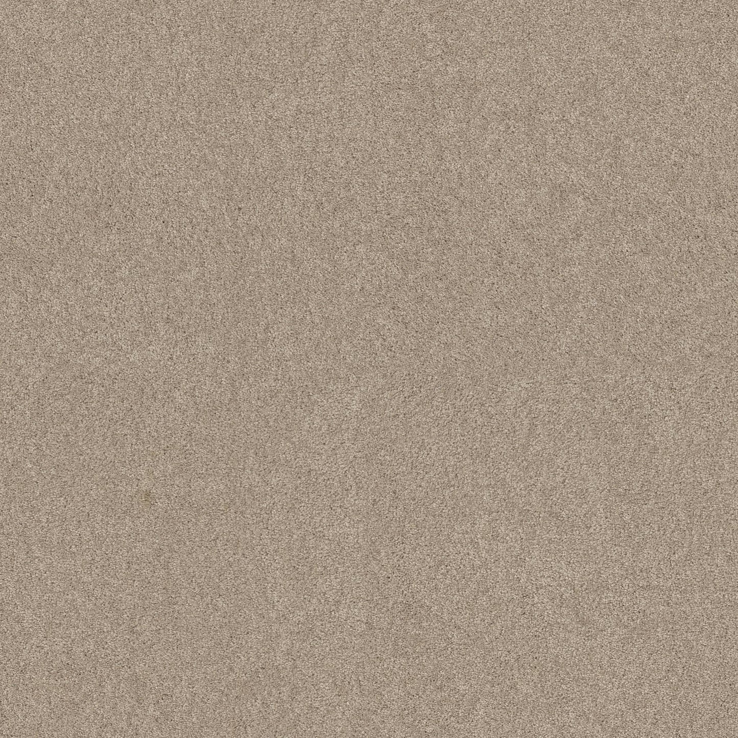 TEXTURE BCF