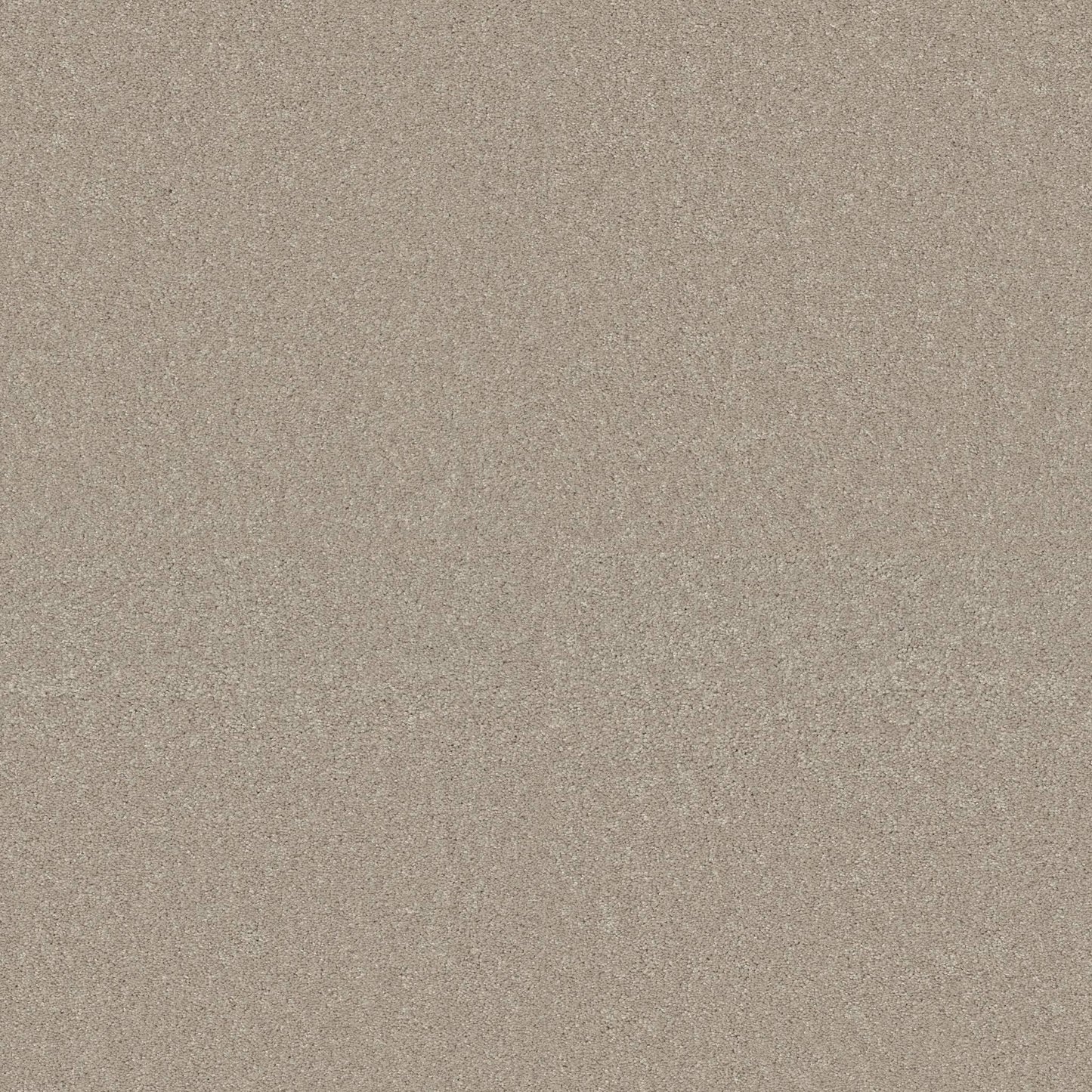 TEXTURE BCF