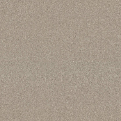 TEXTURE BCF