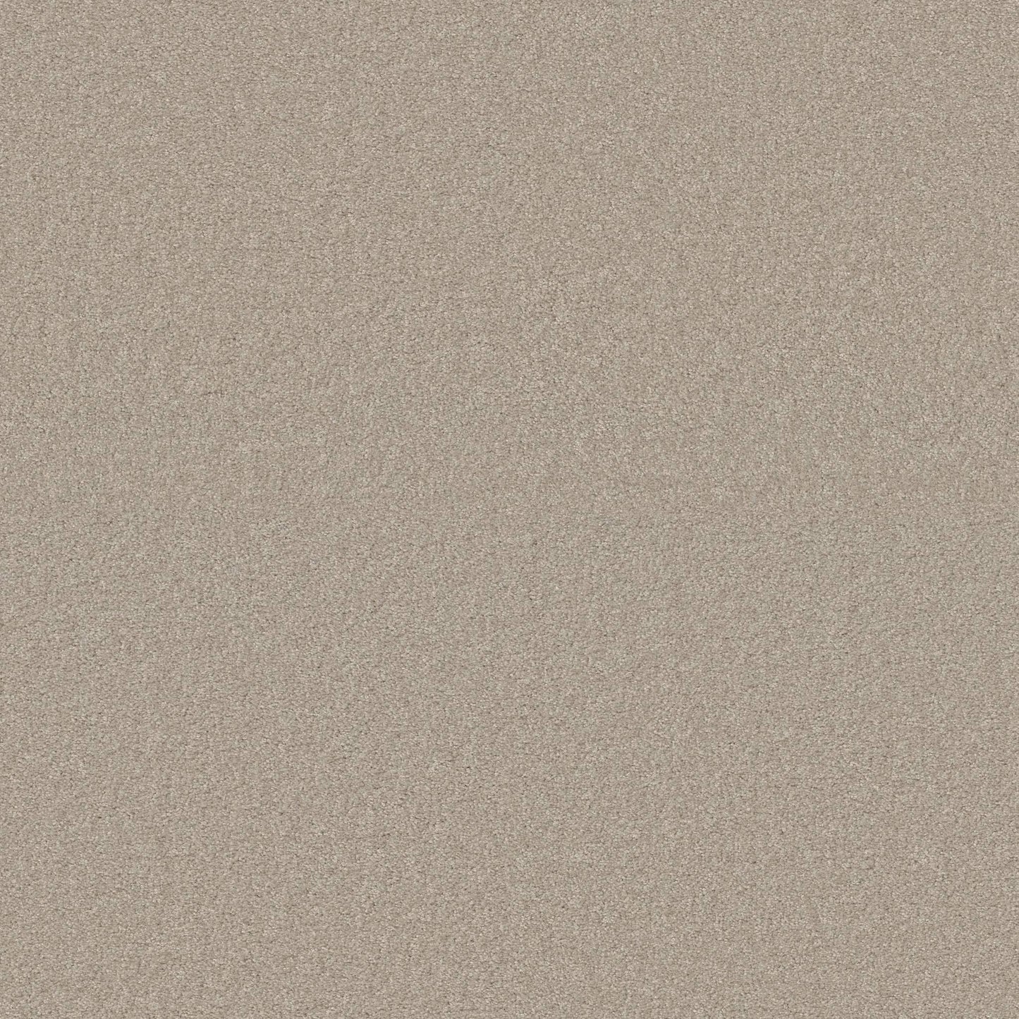 TEXTURE BCF